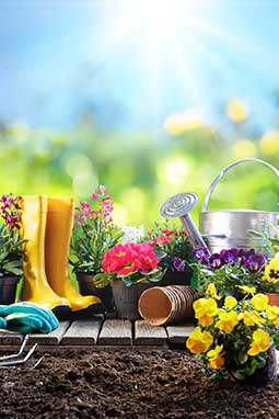 cleaning services