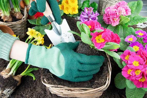 residential cleaning